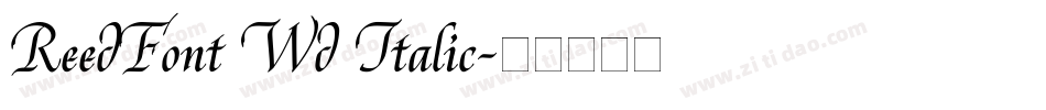 ReedFont Wd Italic字体转换